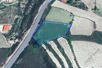 3509 SQM Land · Omodos (Limassol) for sale 