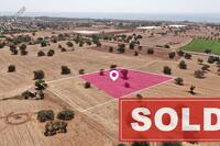 3819 SQM Land · Mazotos (Larnaca) for sale 