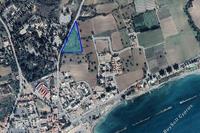 9960 SQM Land in Zygi (Larnaca) for sale 