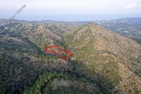 3345 SQM Plot in Pigenia (Nicosia) for sale 