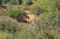9700 SQM Land · Mandria Lemesou (Limassol) for sale 