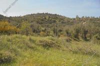 37262 SQM Land · Mathikoloni (Limassol) for sale 