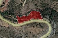 6196 SQM Land · Agioi Vavatsinias (Larnaca) for sale 