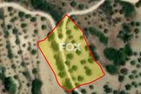 4348 SQM Land in Lysos (Paphos) for sale 