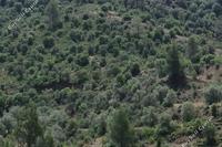 4097 SQM Land in Lythrodontas (Nicosia) for sale 