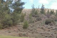 4683 SQM Land · Mitsero (Nicosia) for sale 