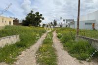1094 SQM Land · Paralimni (Famagusta) for sale 