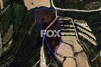 8027 SQM Land · Kathikas (Paphos) for sale 