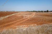 13543 SQM Land · Avgorou (Famagusta) for sale 