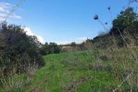 1115 SQM Land in Kallepeia (Paphos) for sale 