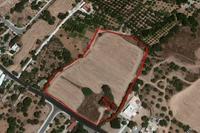 16389 SQM Plot · Tremithousa (Paphos) for sale 