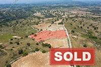 9709 SQM Land in Pachna (Limassol) for sale 
