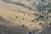 7024 SQM Land · Kilinia (Paphos) for sale 