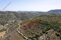 8362 SQM Land in Dora (Limassol) for sale 