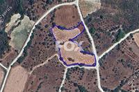 7086 SQM Land in Arminou (Paphos) for sale 