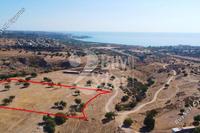 12933 SQM Land · Peyia (Paphos) for sale 
