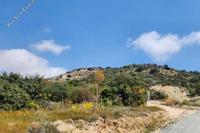23746 SQM Land · Agios Theodoros Larnacas (Larnaca) for sale 
