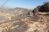 9867 SQM Land · Pachna (Limassol) for sale 