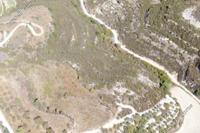 6689 SQM Land · Pachna (Limassol) for sale 
