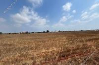 5676 SQM Land in Frenaros (Famagusta) for sale 