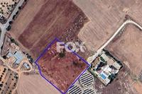 6730 SQM Land · Anarita (Paphos) for sale 