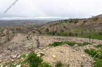 11874 SQM Land in Koilani (Limassol) for sale 