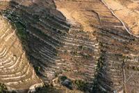 7358 SQM Land in Vouni (Limassol) for sale 