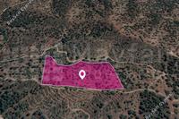 19399 SQM Land in Agios Theodoros Soleas (Nicosia) for sale 