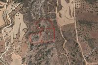 24743 SQM Land in Pelathousa (Paphos) for sale 