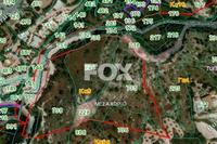 10034 SQM Land in Mesa Chorio (Paphos) for sale 