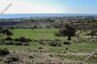 12496 SQM Plot in Peyia (Paphos) for sale 