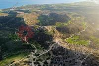 41472 SQM Land in Agios Theodoros Larnacas (Larnaca) for sale 