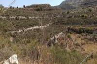 6355 SQM Land in Dora (Limassol) for sale 