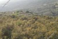 13546 SQM Land · Ora (Larnaca) for sale 
