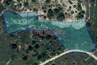 6563 SQM Land in Pera Pedi (Limassol) for sale 