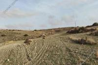 38415 SQM Land in Kato Koutrafas (Nicosia) for sale 