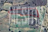 4488 SQM Plot in Pachna (Limassol) for sale 