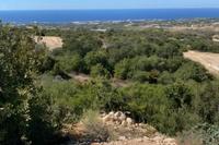 29767 SQM Land in Tremithousa (Paphos) for sale 