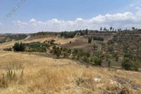 669 SQM Land · Nikitari (Nicosia) for sale 