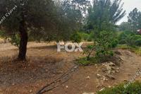 1623 SQM Land · Kouklia Pafou (Paphos) for sale 