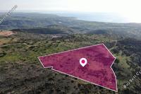 10703 SQM Land in Peyia (Paphos) for sale 