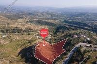 11313 SQM Land in Psathi (Paphos) for sale 