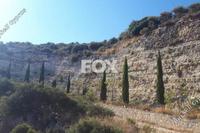 76590 SQM Land in Souskiou (Paphos) for sale 