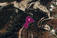 3011 SQM Land · Neo Chorio (Paphos) for sale 