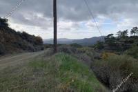 4209 SQM Land in Lageia (Larnaca) for sale 