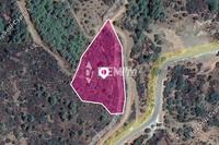 8450 SQM Land · Lysos (Paphos) for sale 
