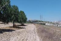 5672 SQM Land in Aradippou (Larnaca) for sale 