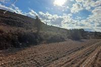 3754 SQM Land in Nisou (Nicosia) for sale 