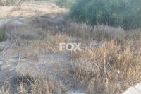9058 SQM Land · Pyrgos Limassol (Limassol) for sale 