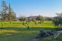 9040 SQM Land in Parekklisia (Limassol) for sale 